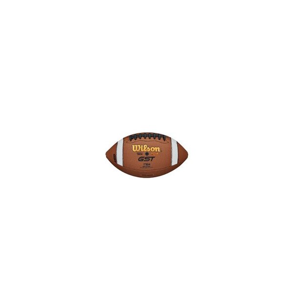 Wilson American Football TDY Composite Youth