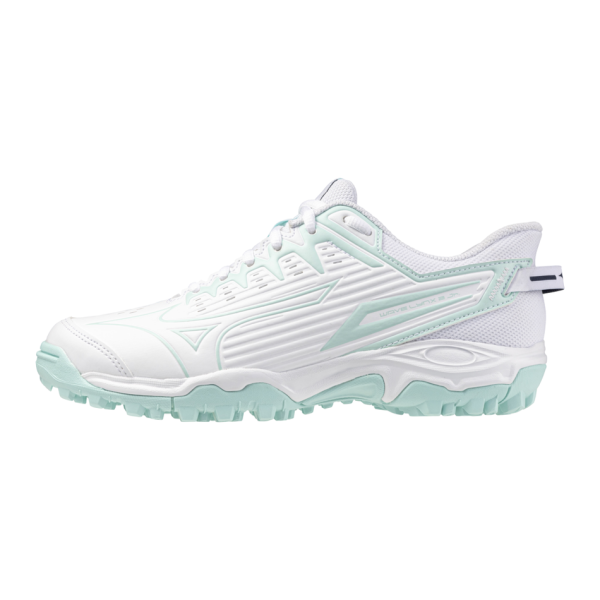 White/Blue Tint